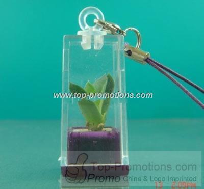 Mini plant keychain Mini plant keychain