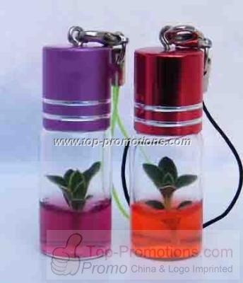 Pet Plants Pet Plants