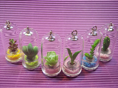 Capsule Mini Plant Capsule Mini Plant