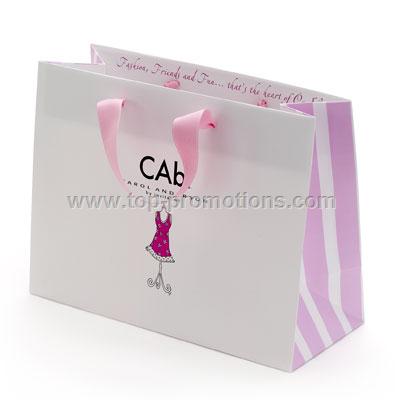 Matte laminated Shopping Paper Bag