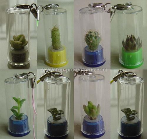 Pet Tree 6 Pet Tree 6