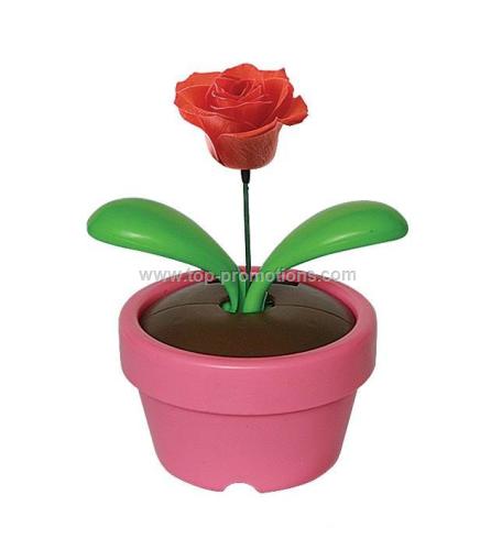 Solar Dancing Rose Solar Dancing Rose