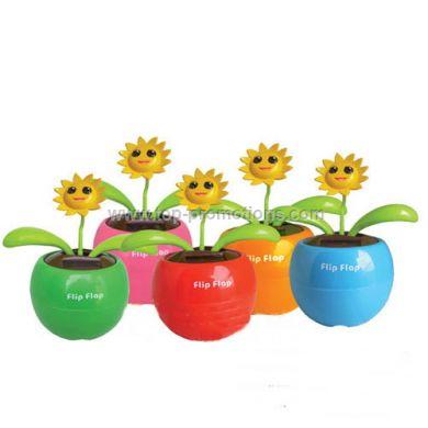 Solar dancing sunflower Solar dancing sunflower