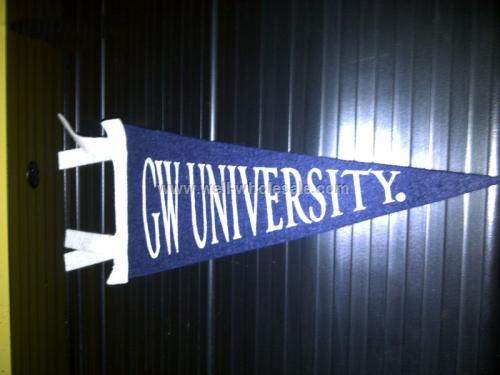Felt pennant Felt pennant