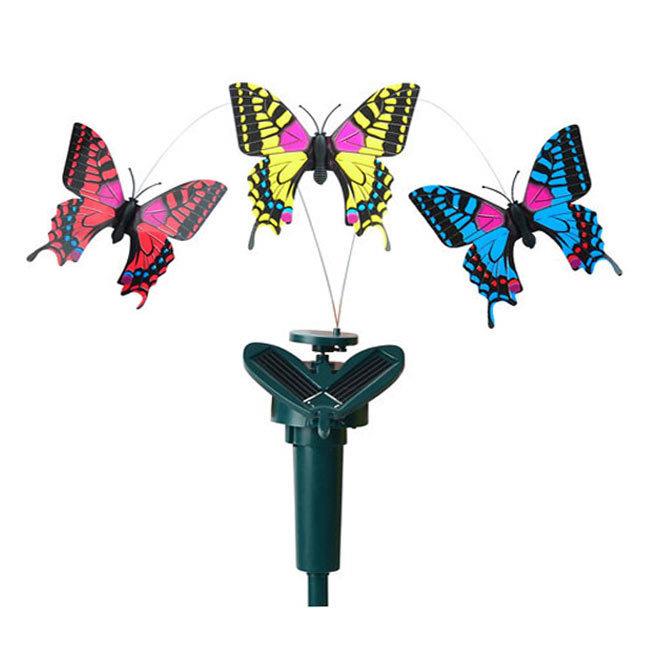 solar butterfly solar butterfly
